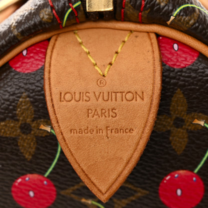 Louis Vuitton LOUIS VUITTON Monogram Cerises Speedy 25 3 of 10