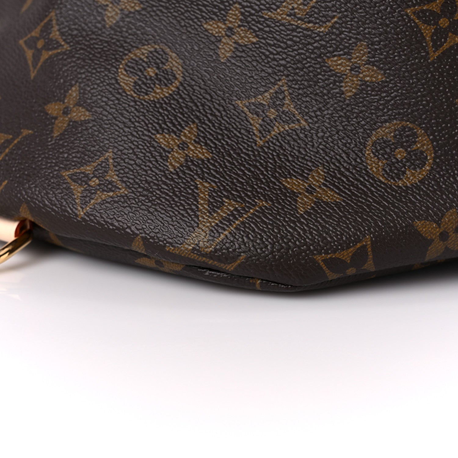 Louis Vuitton Monogram Bumbag 8 of 11