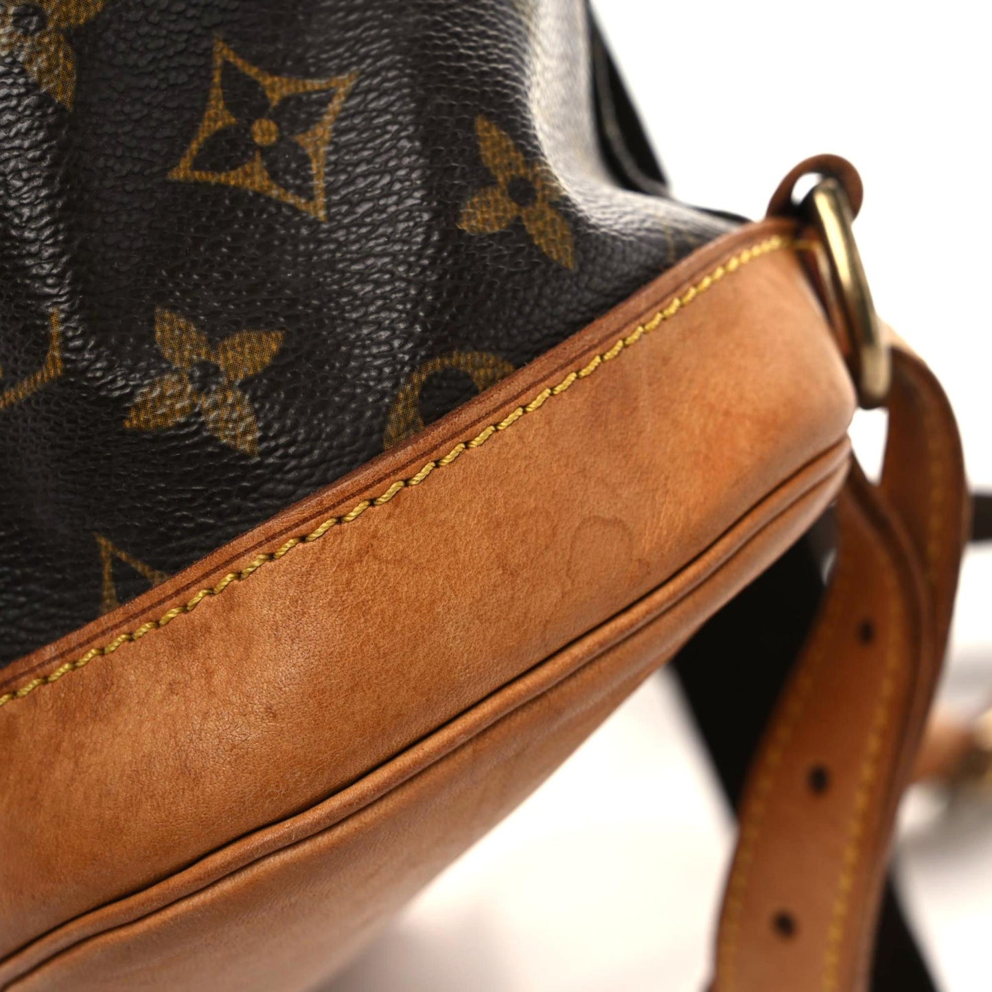 Monogram Montsouris GM Backpack