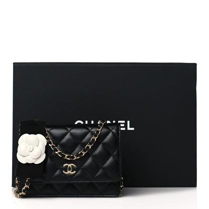 Chanel Lambskin Quilted Mini Camellia Bow Wallet On Chain WOC Black 11 of 11