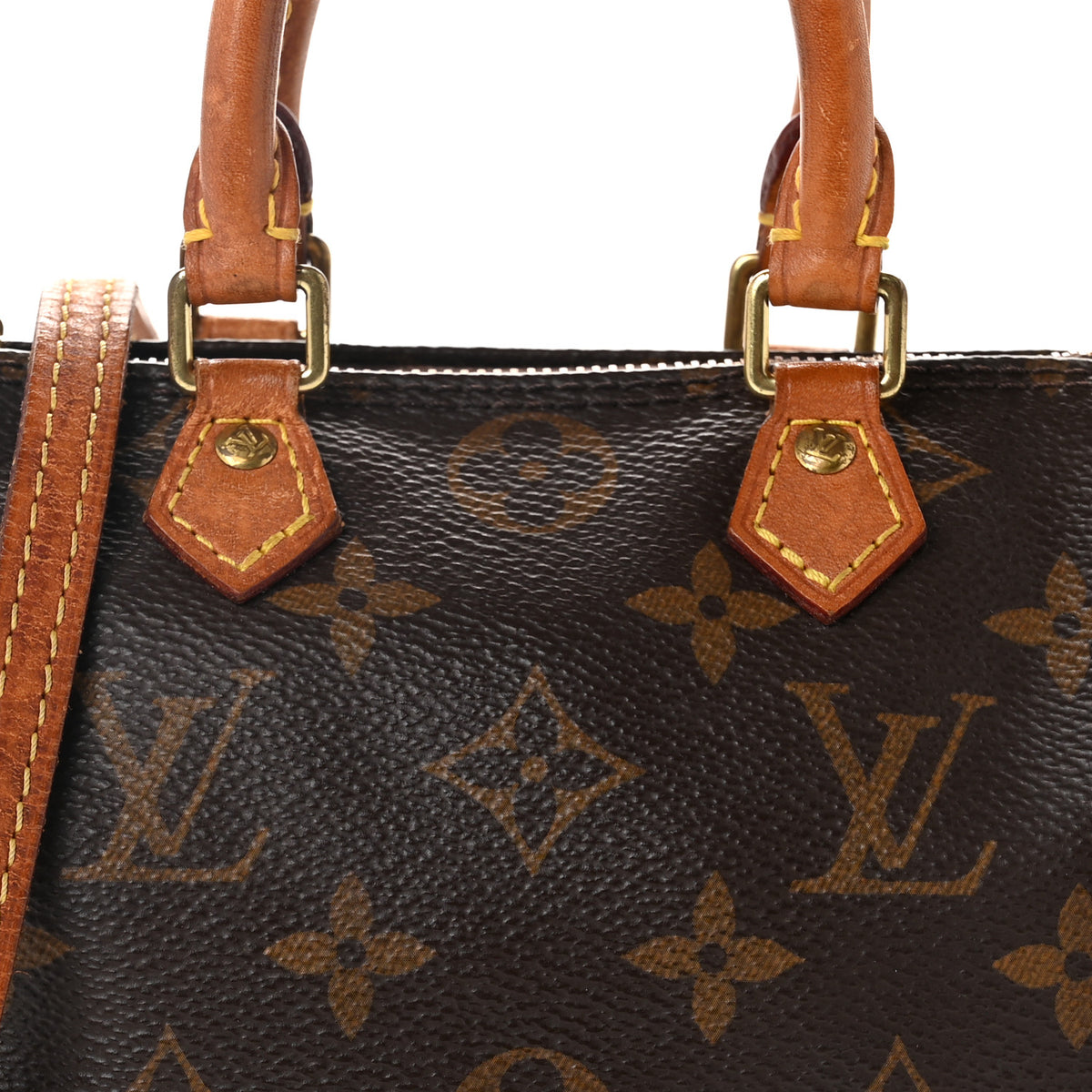 Monogram Nano Speedy