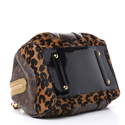 Louis Vuitton Monogram Leopard Stephen Bag 4 of 15