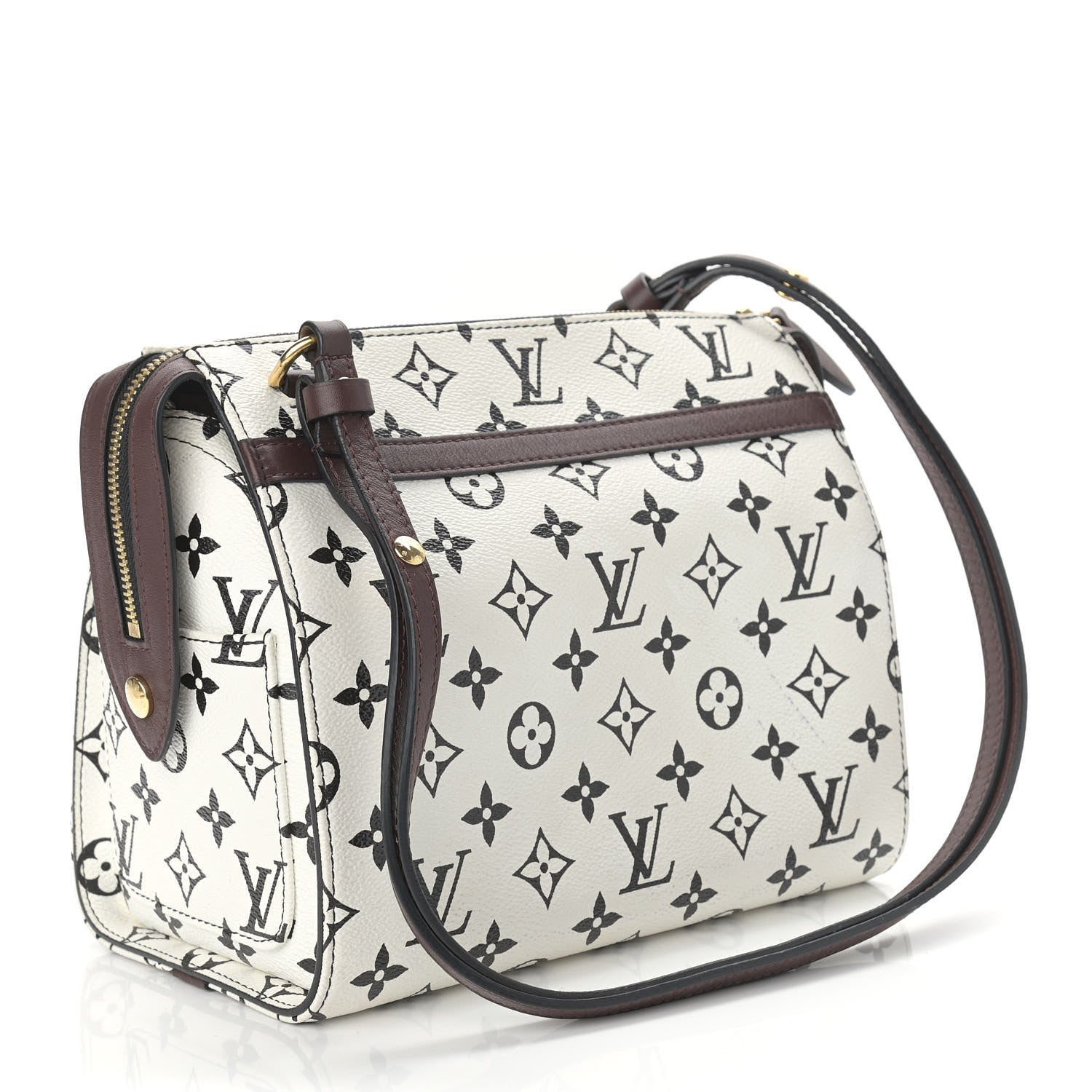 Louis Vuitton Monogram Speedy Amazon PM White Chocolat 3 of 10