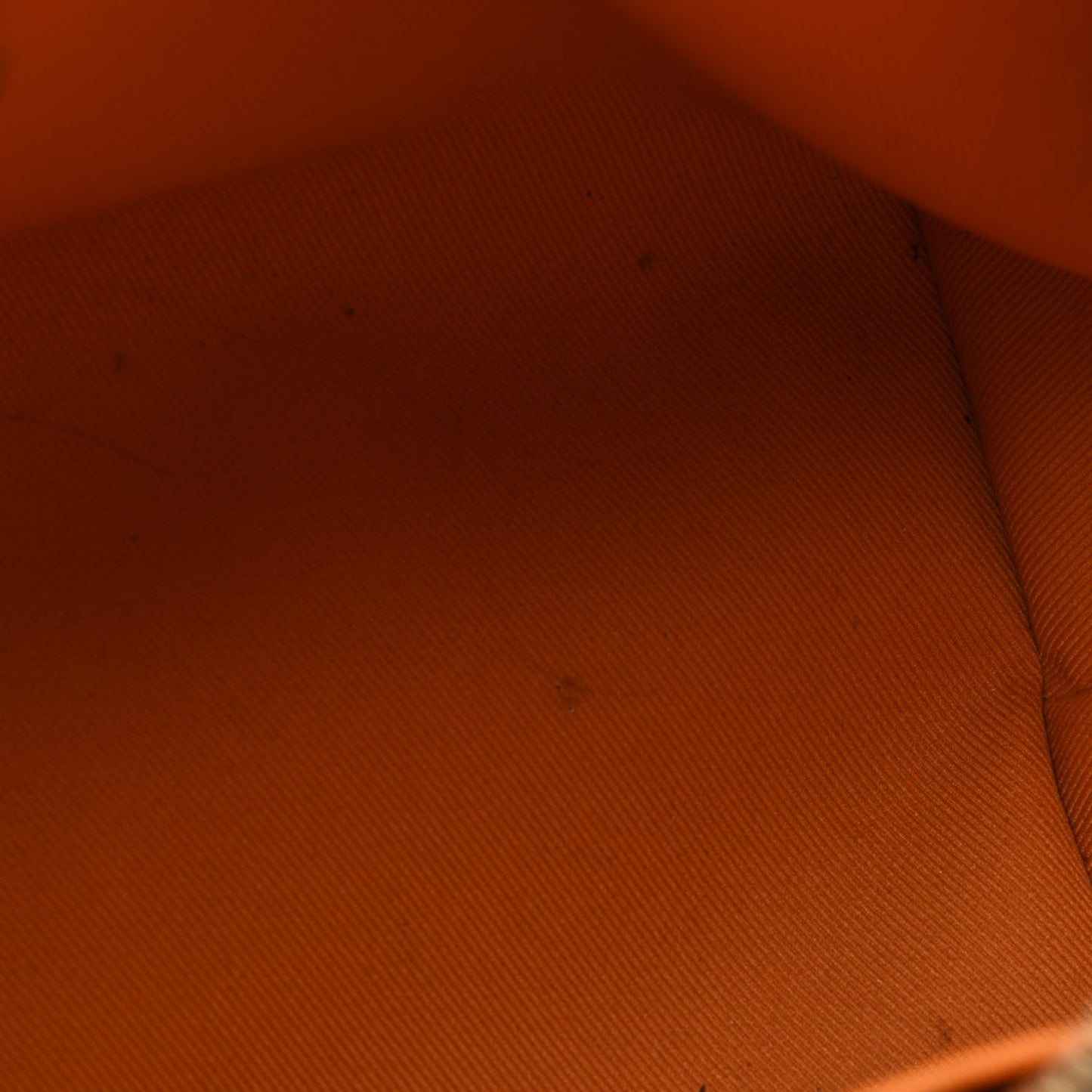 Monogram Manhattan NM Caramel