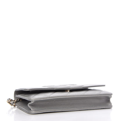 Chanel Metallic Goatskin Quilted Timeless CC Wallet On Chain WOC Silver 4 of 12