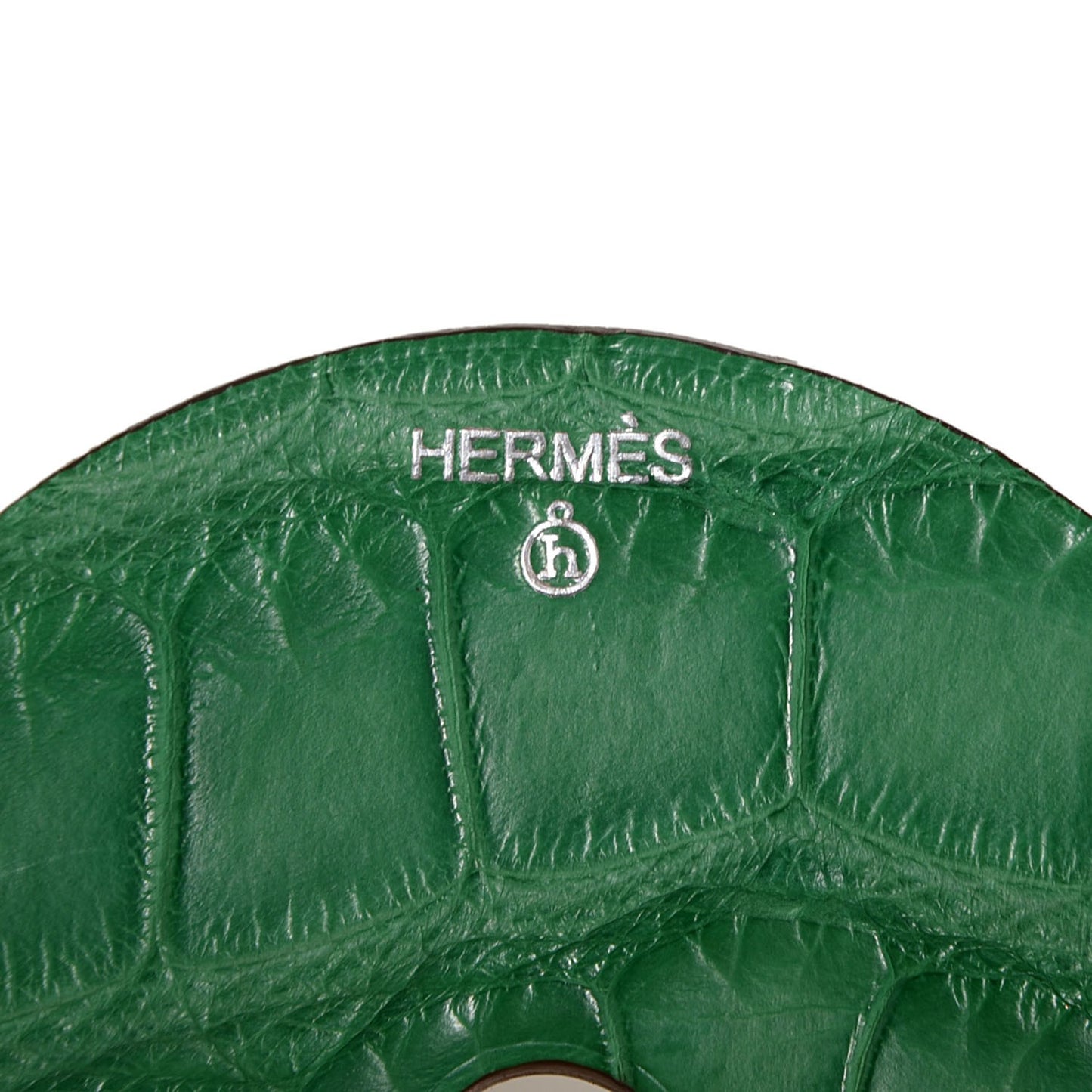Matte Alligator Petit H Rond GM Necklace Cactus Mimosa