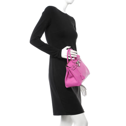 Hermes Togo Birkin 25 Magnolia 2 of 32