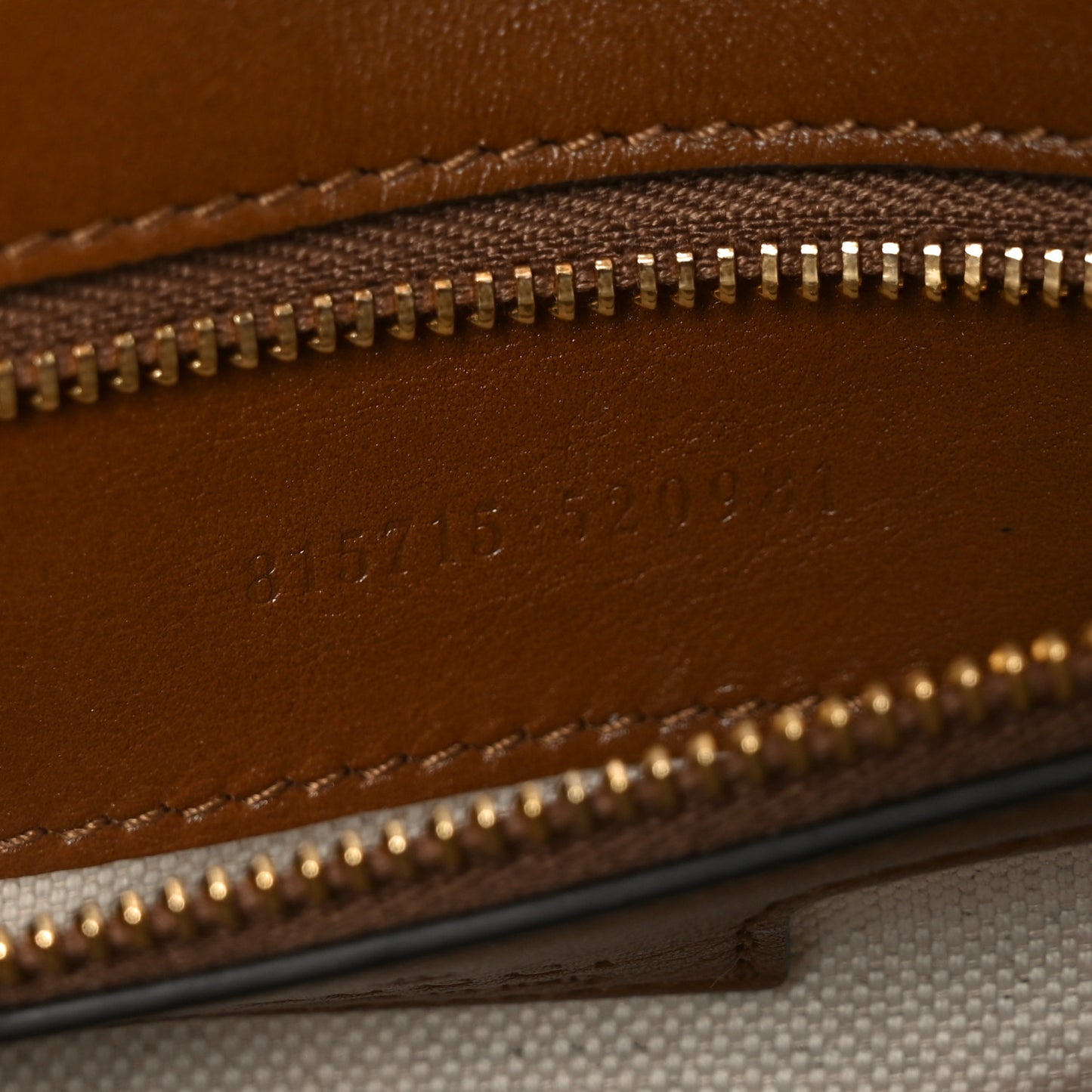 Suede Calfskin Blondie Medium Shoulder Bag Light Brown