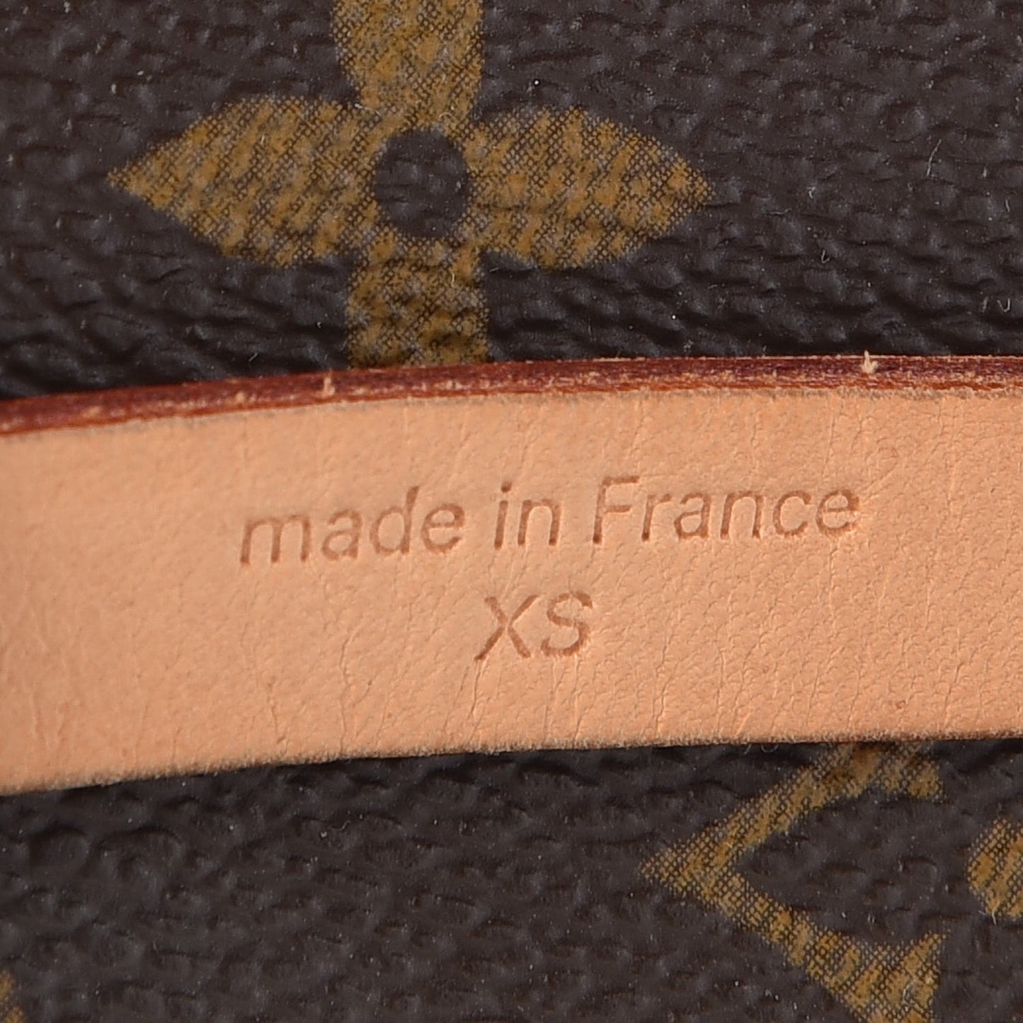 Monogram Pochette Florentine XS