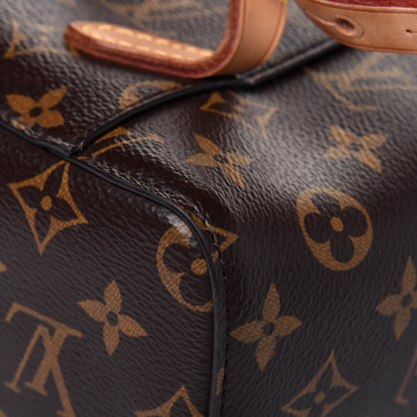 Monogram Montsouris NM Backpack