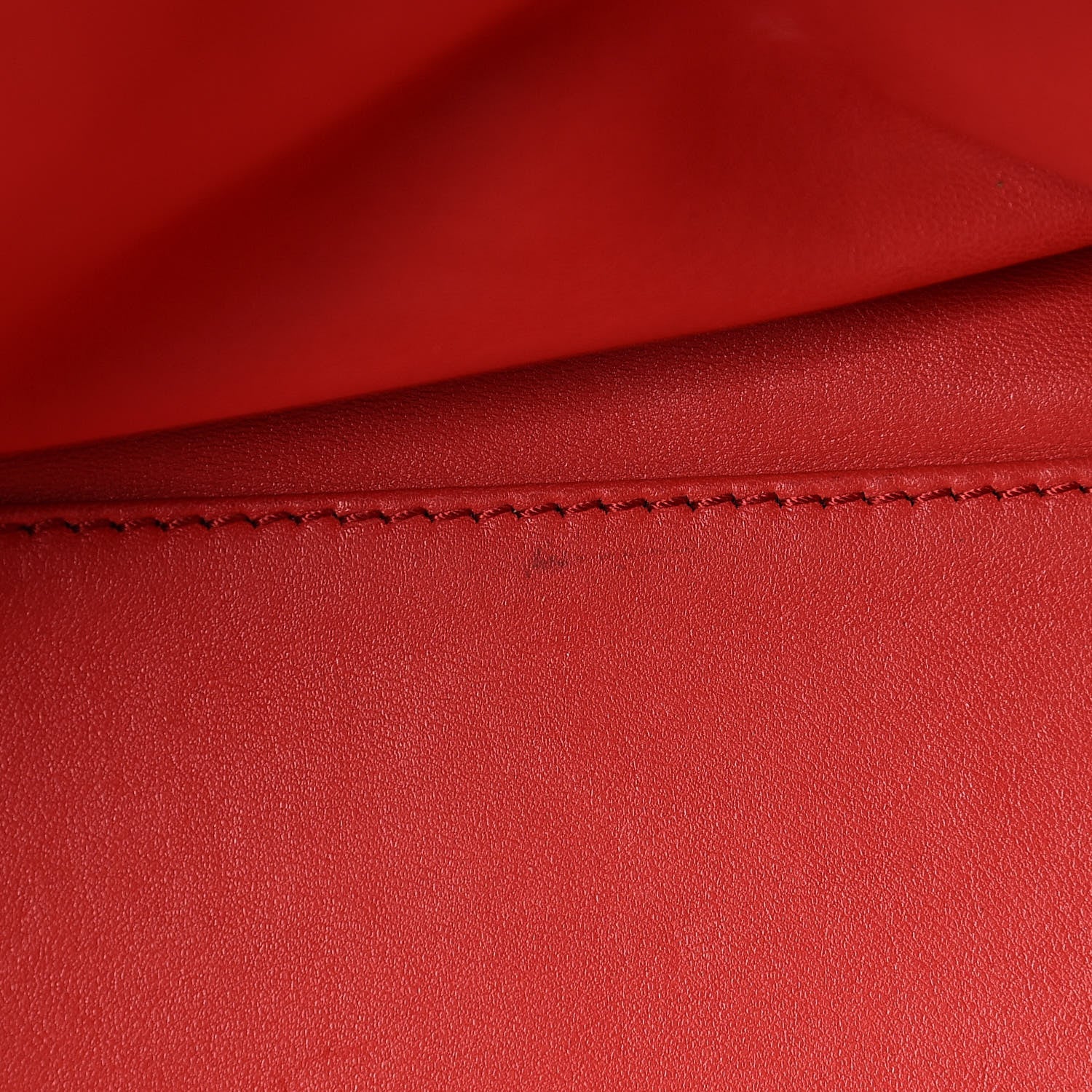 Loewe Goatskin Amazona Red 8 of 15