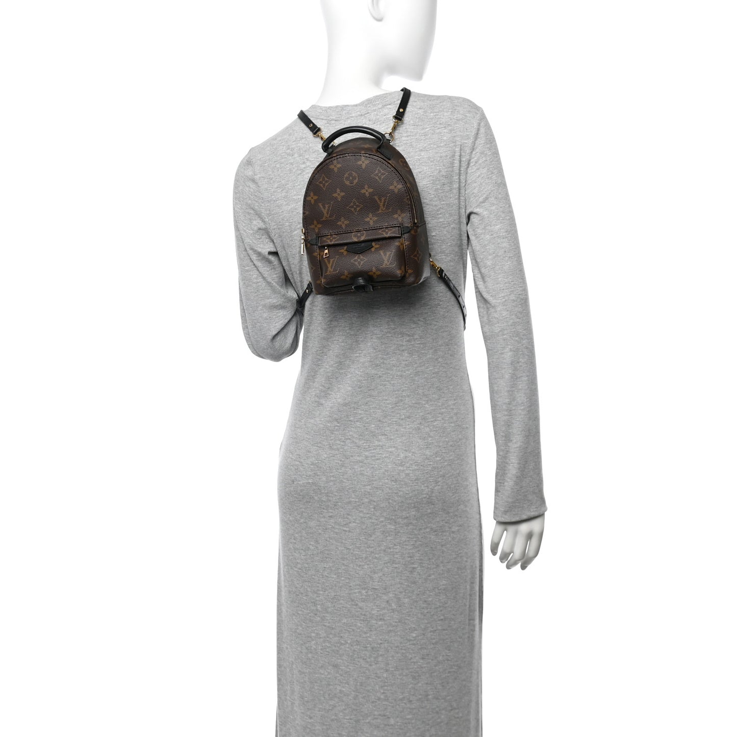 Monogram Palm Springs Backpack Mini