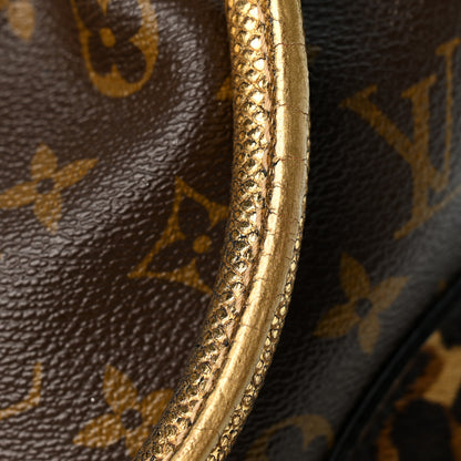 Louis Vuitton Monogram Leopard Adele 10 of 10