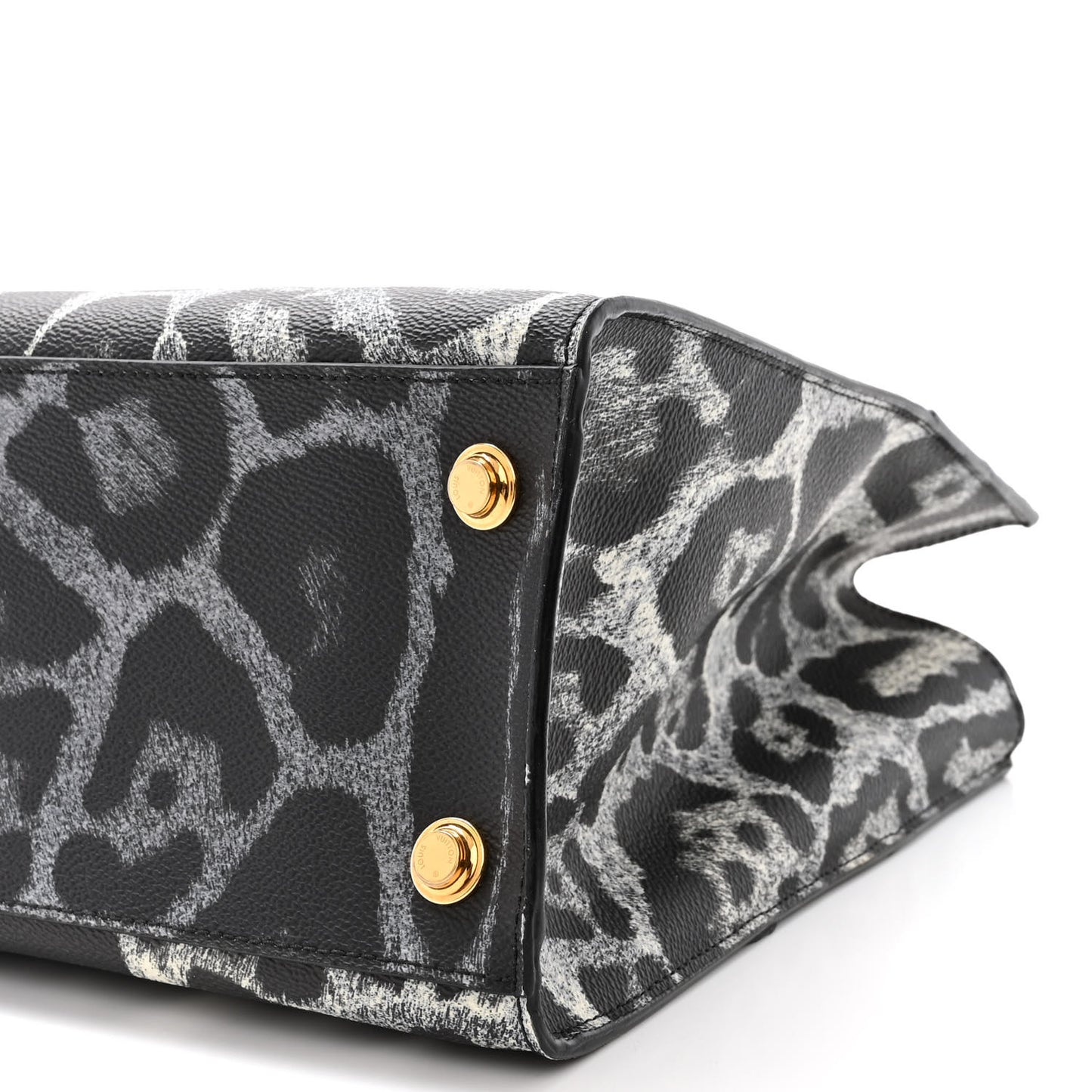 Canvas Calfskin Wild Animal Print City Steamer MM Black
