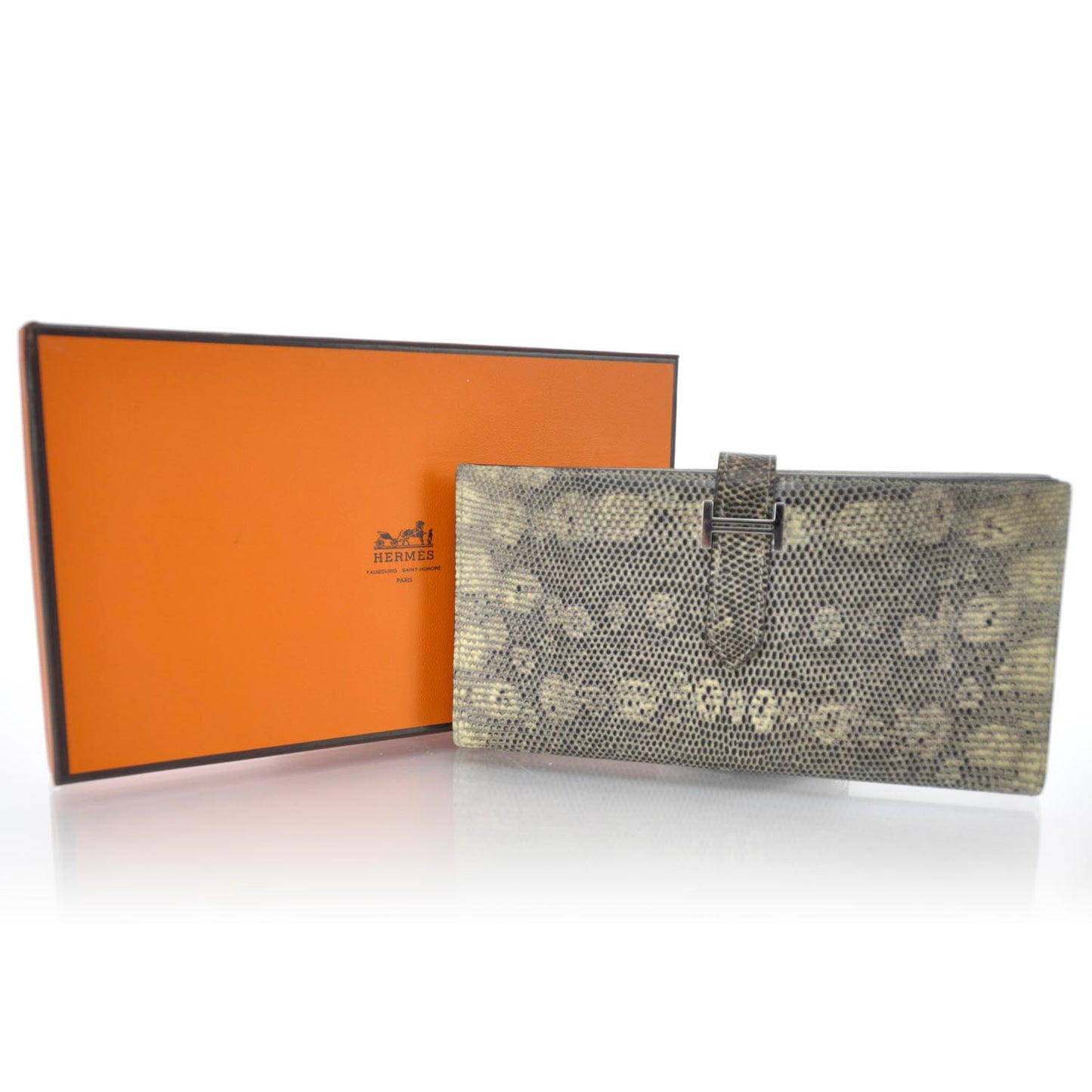 Lizard Bearn Wallet Ombre