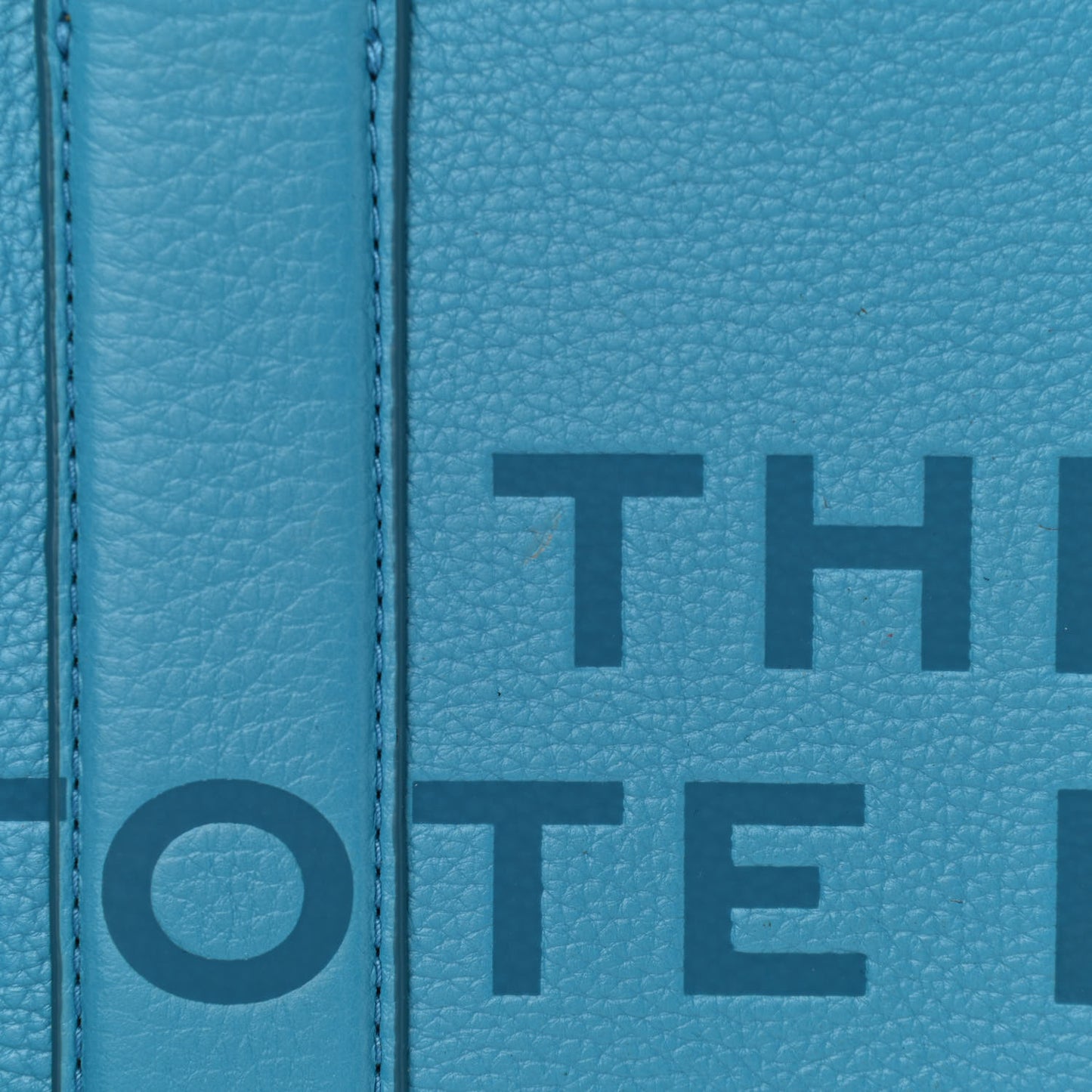 Grained Calfskin Small The Tote Bag Barrier Reef
