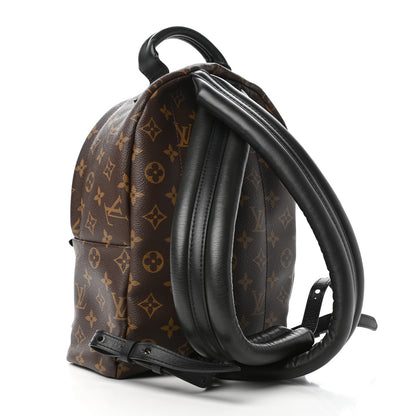 Louis Vuitton Monogram Palm Springs Backpack PM 7 of 17