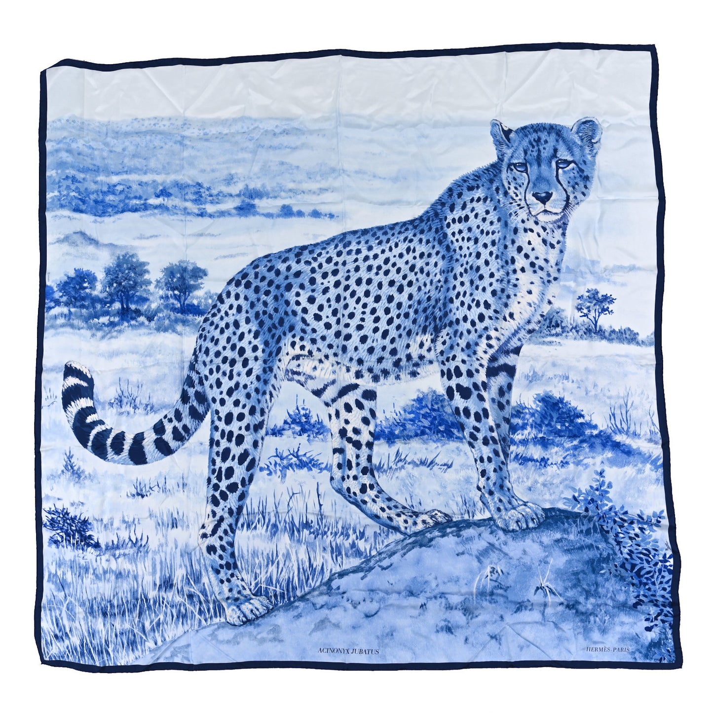Silk Acinonyx Jubatus Wash 140 Scarf Bleu Royal Marine