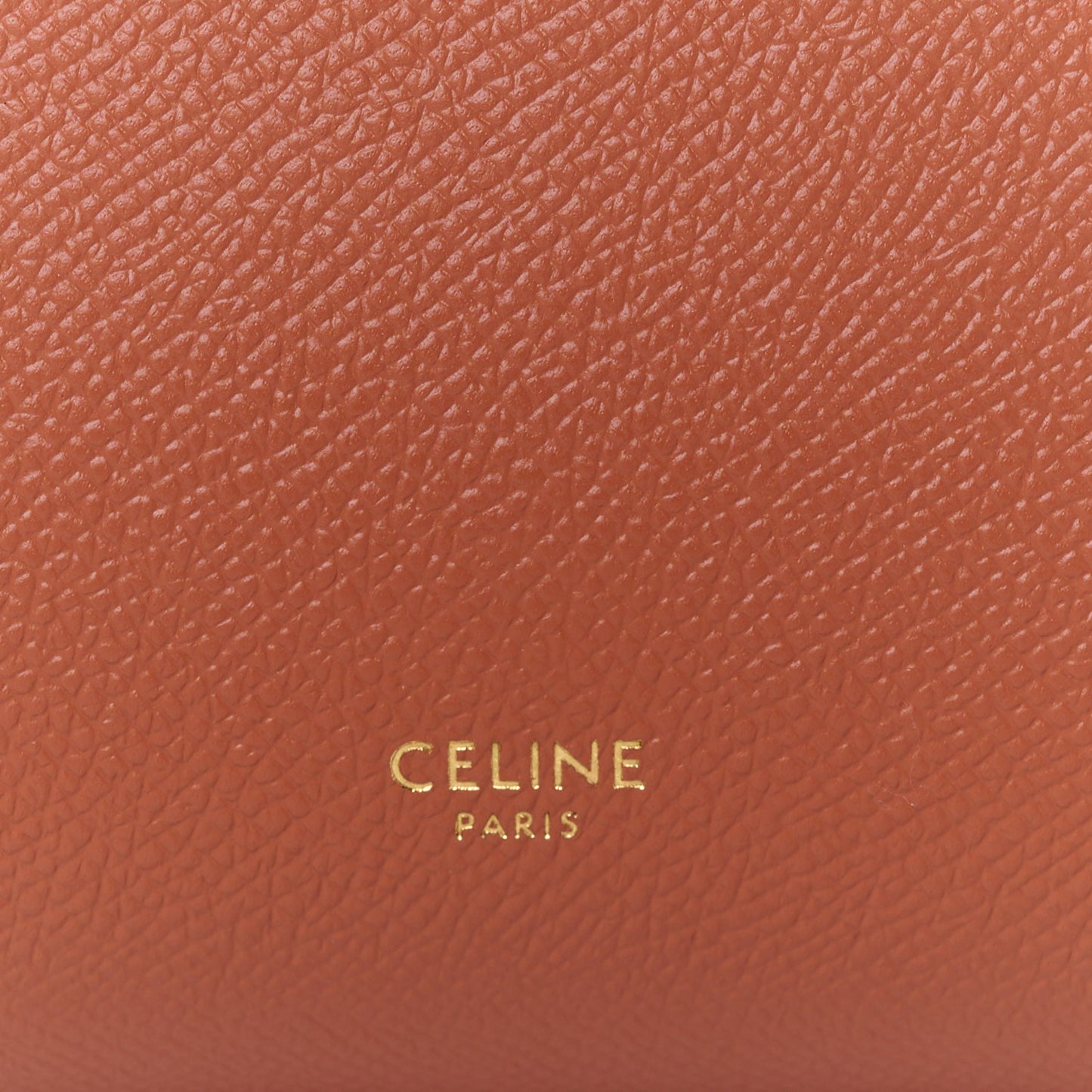 Grained Calfskin Nano Belt Bag Terracotta
