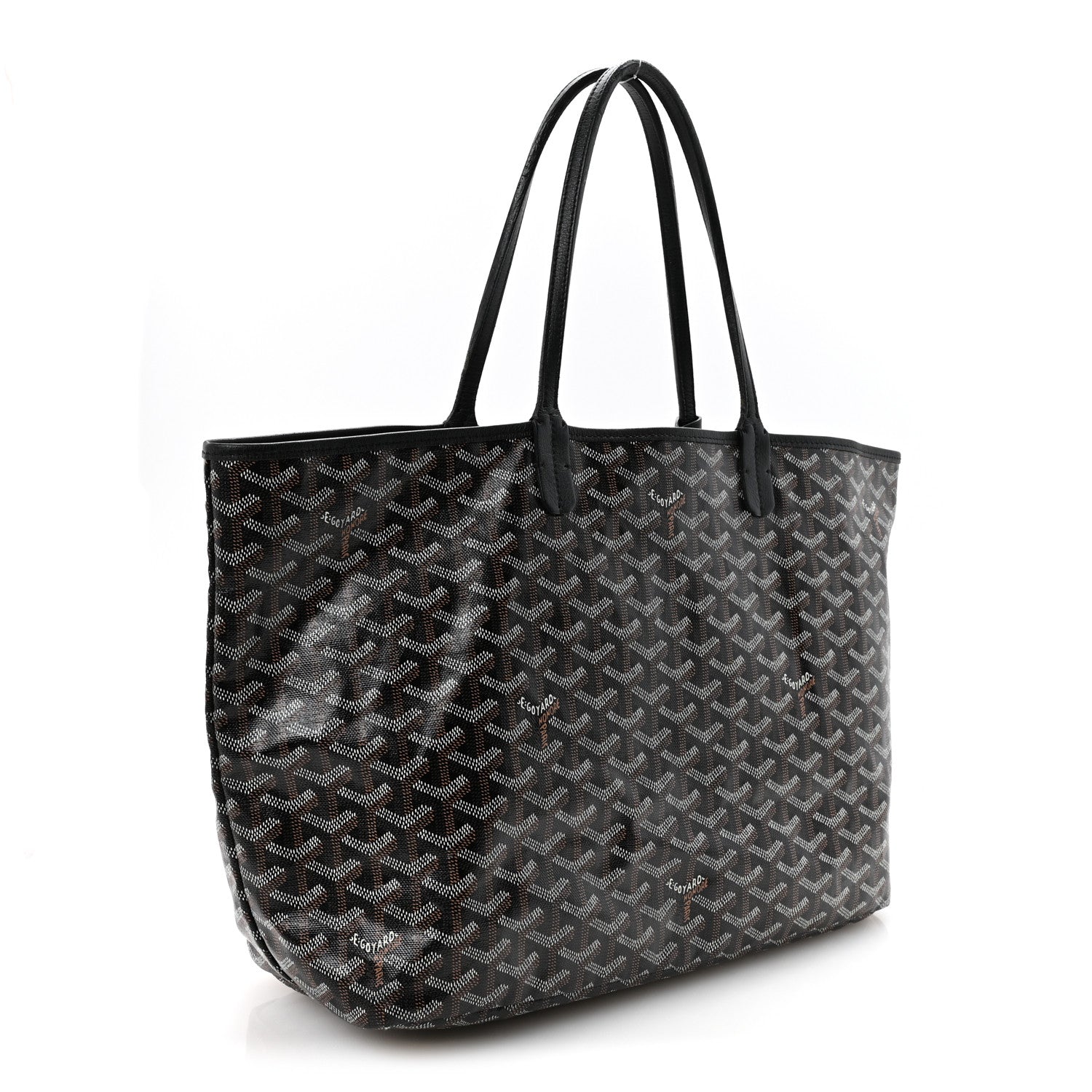 Goyard Goyardine Saint Louis PM Black 4 of 9