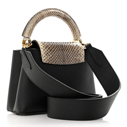 Louis Vuitton Taurillon Ayers Mini Capucines Black 3 of 10