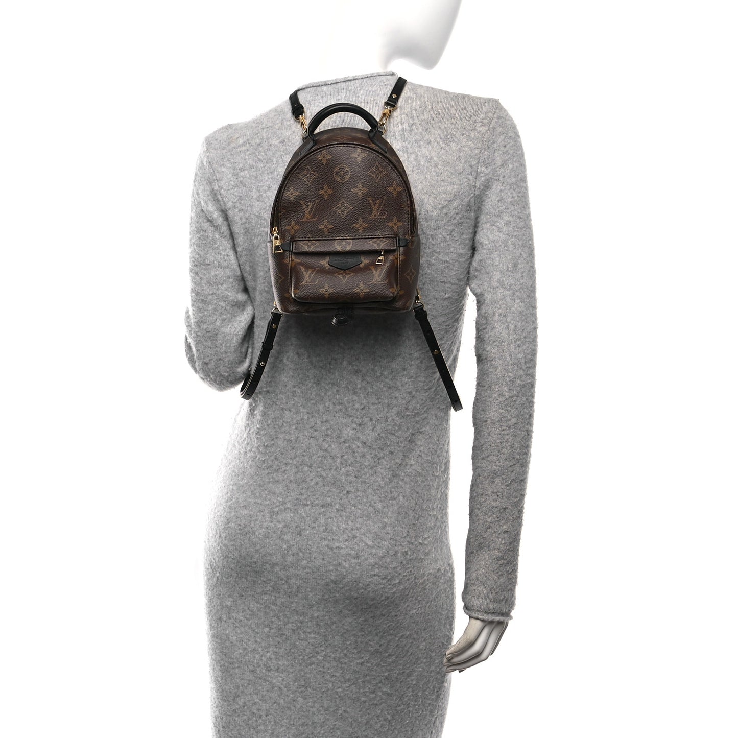 Monogram Palm Springs Backpack Mini