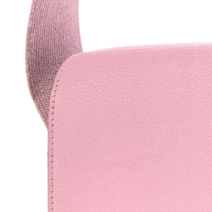 Hermes Chevre Mysore Geta Mauve Sylvestre 10 of 13