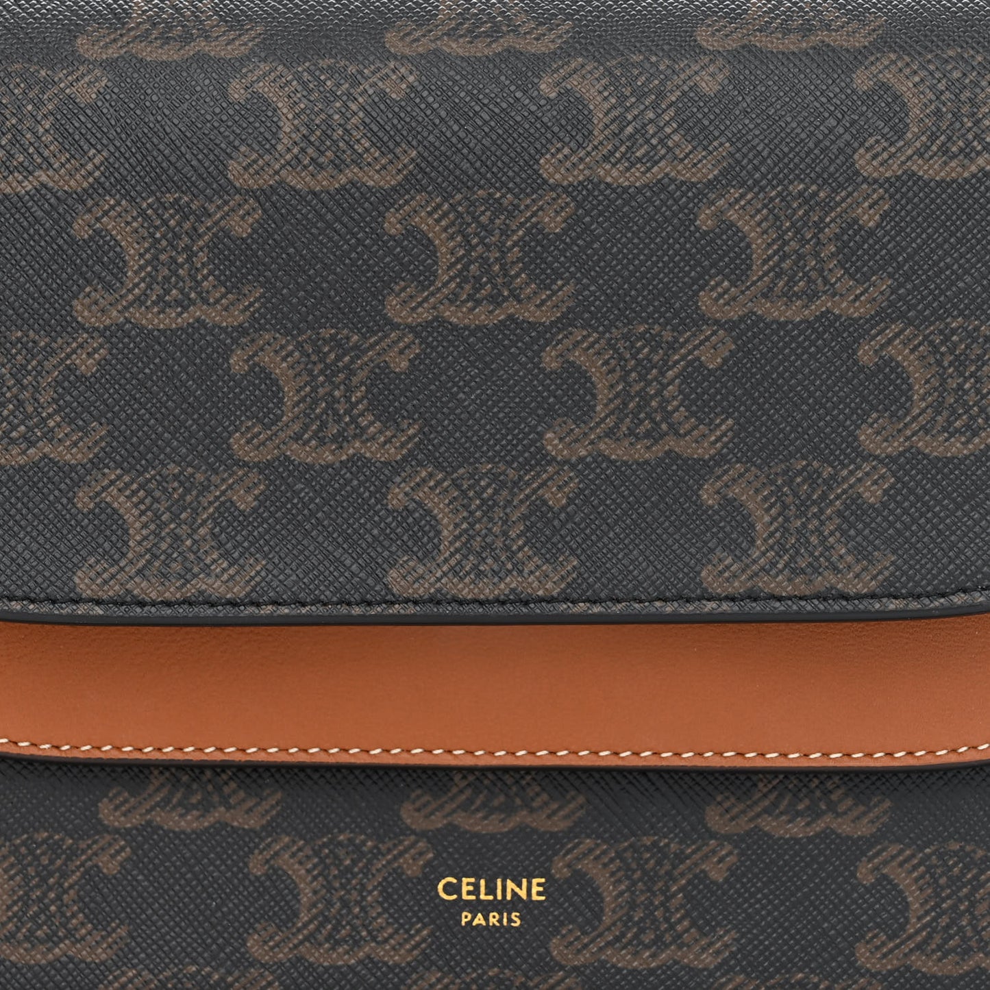 Triomphe Canvas Lambskin Wallet On Strap Tan