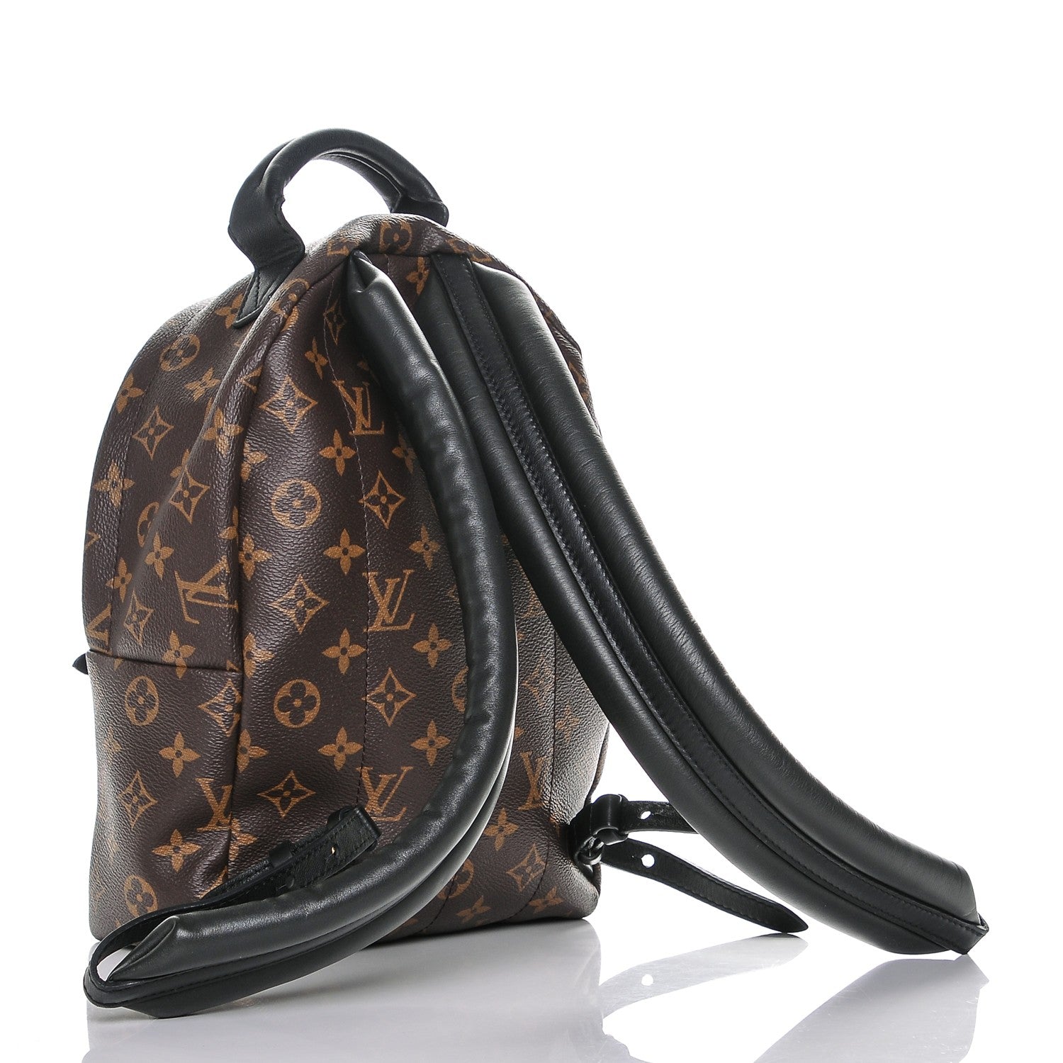 Louis Vuitton Monogram Palm Springs Backpack PM 3 of 6