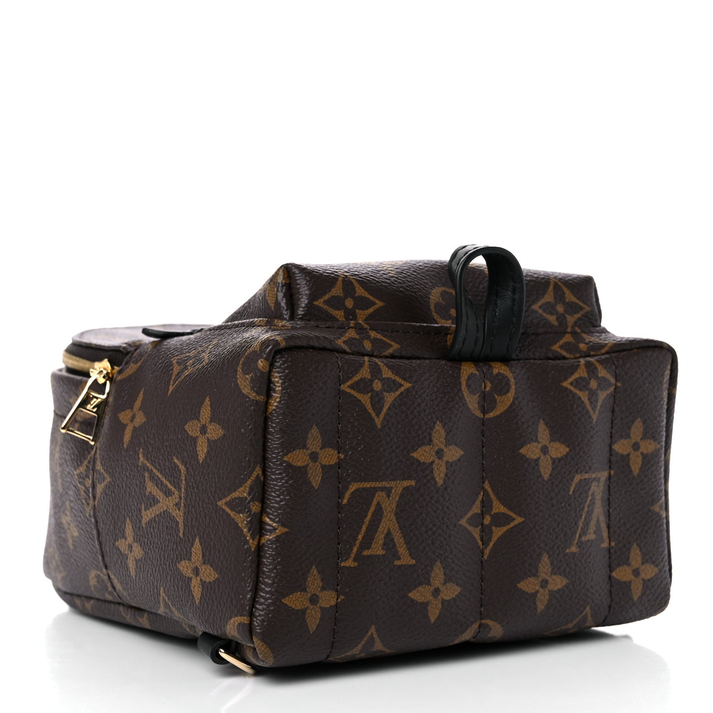 Monogram Palm Springs Backpack Mini