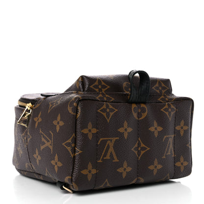 Louis Vuitton Monogram Palm Springs Backpack Mini 4 of 12