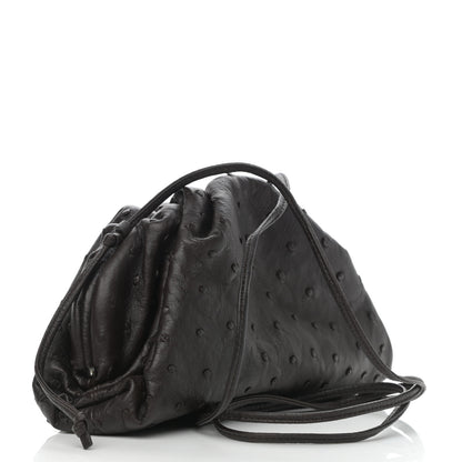 Bottega Veneta Ostrich The Mini Pouch Fondente 3 of 13