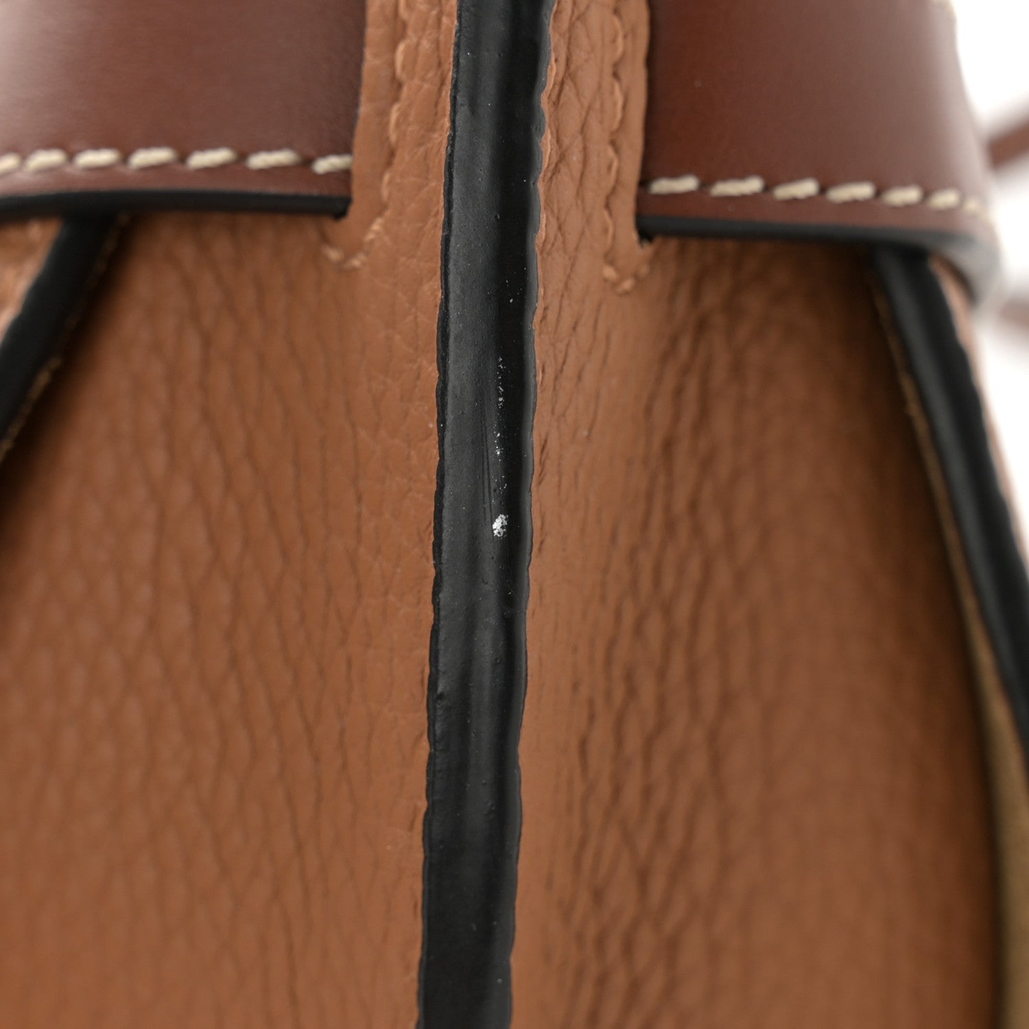 Loewe Grained Calfskin Mini Gate Crossbody Bag Caramel Pecan 5 of 10