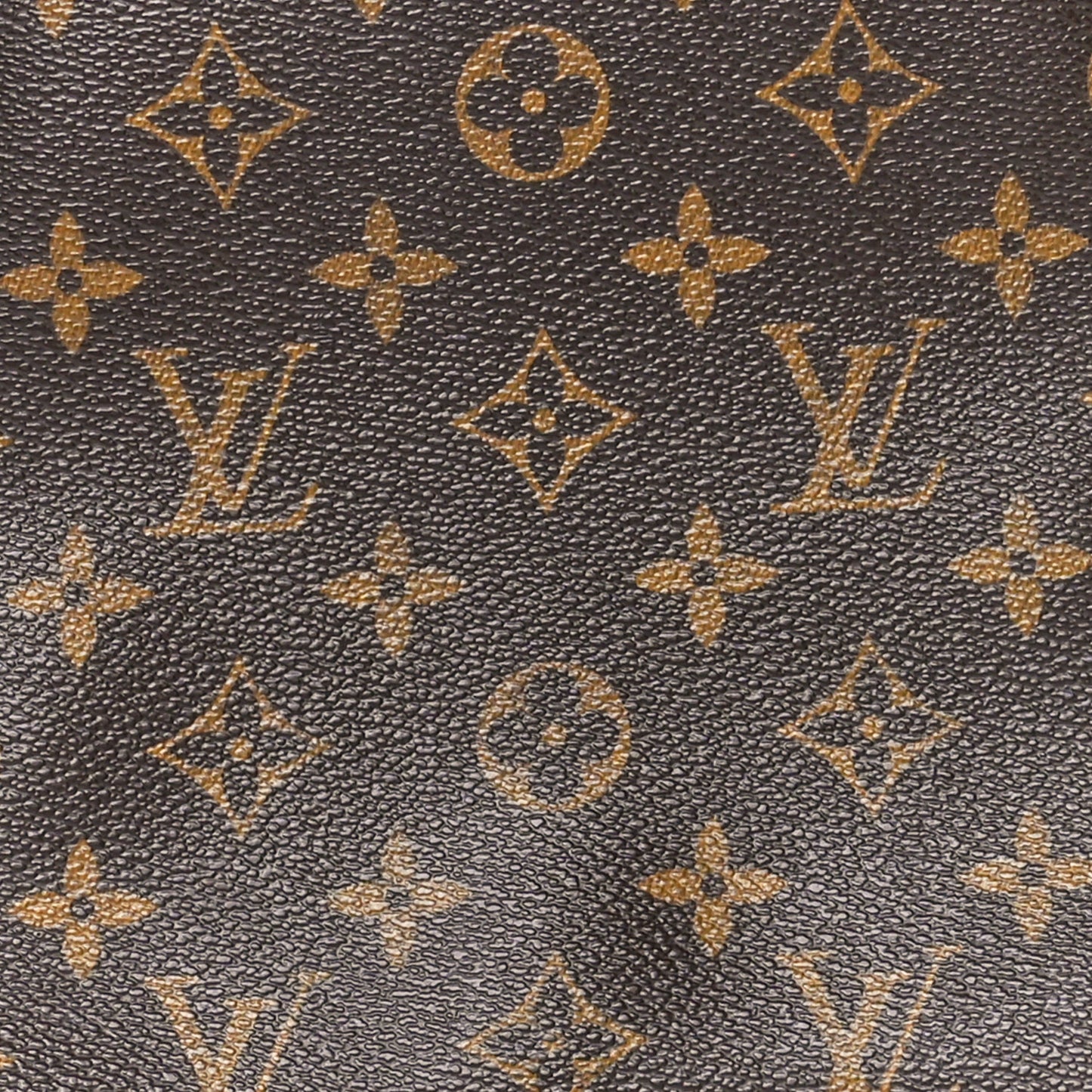 Monogram Musette Salsa