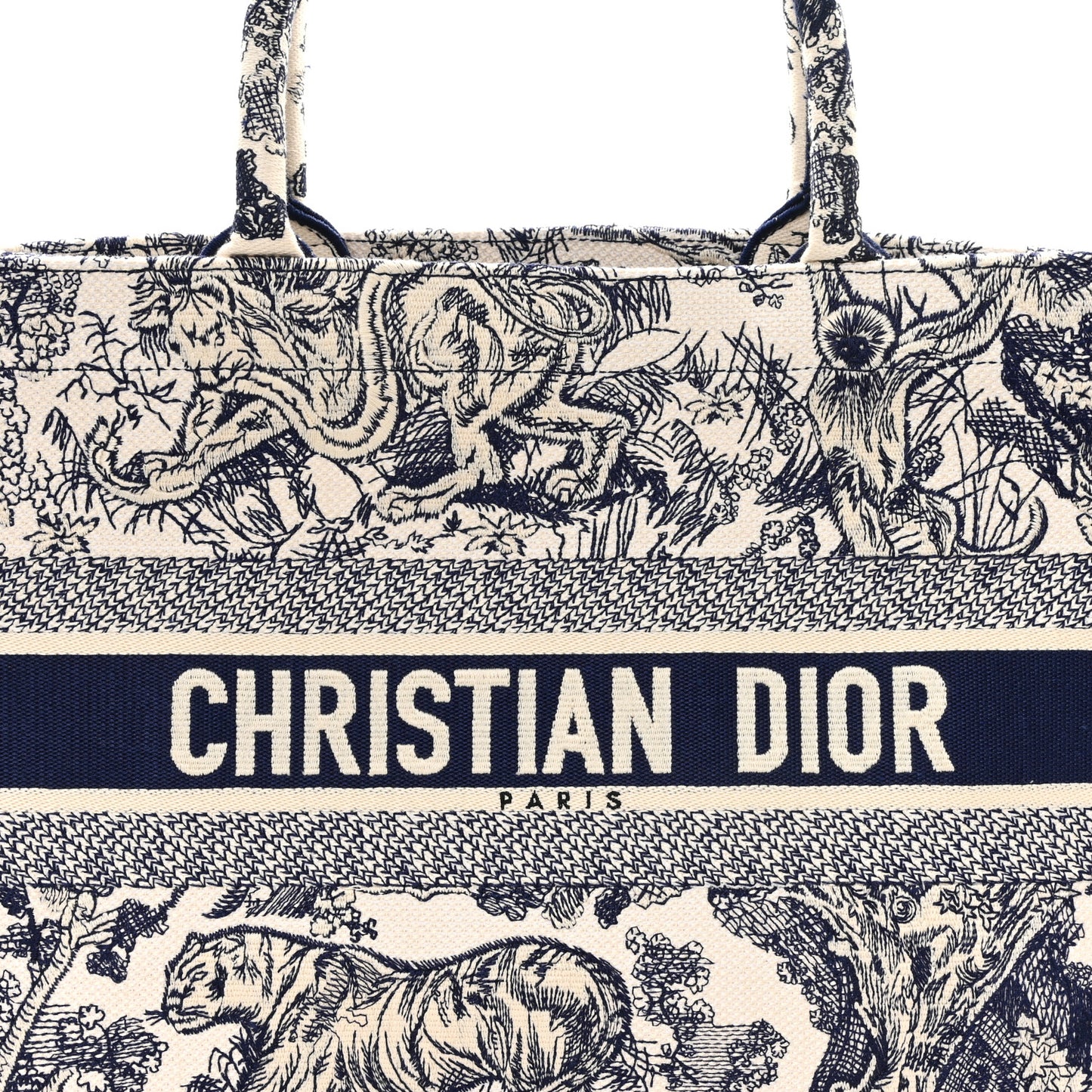 Canvas Embroidered Medium Dioriviera Toile De Jouy Book Tote Blue
