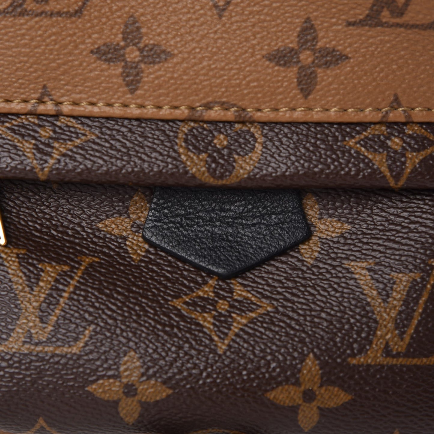 Reverse Monogram Palm Springs Backpack Mini