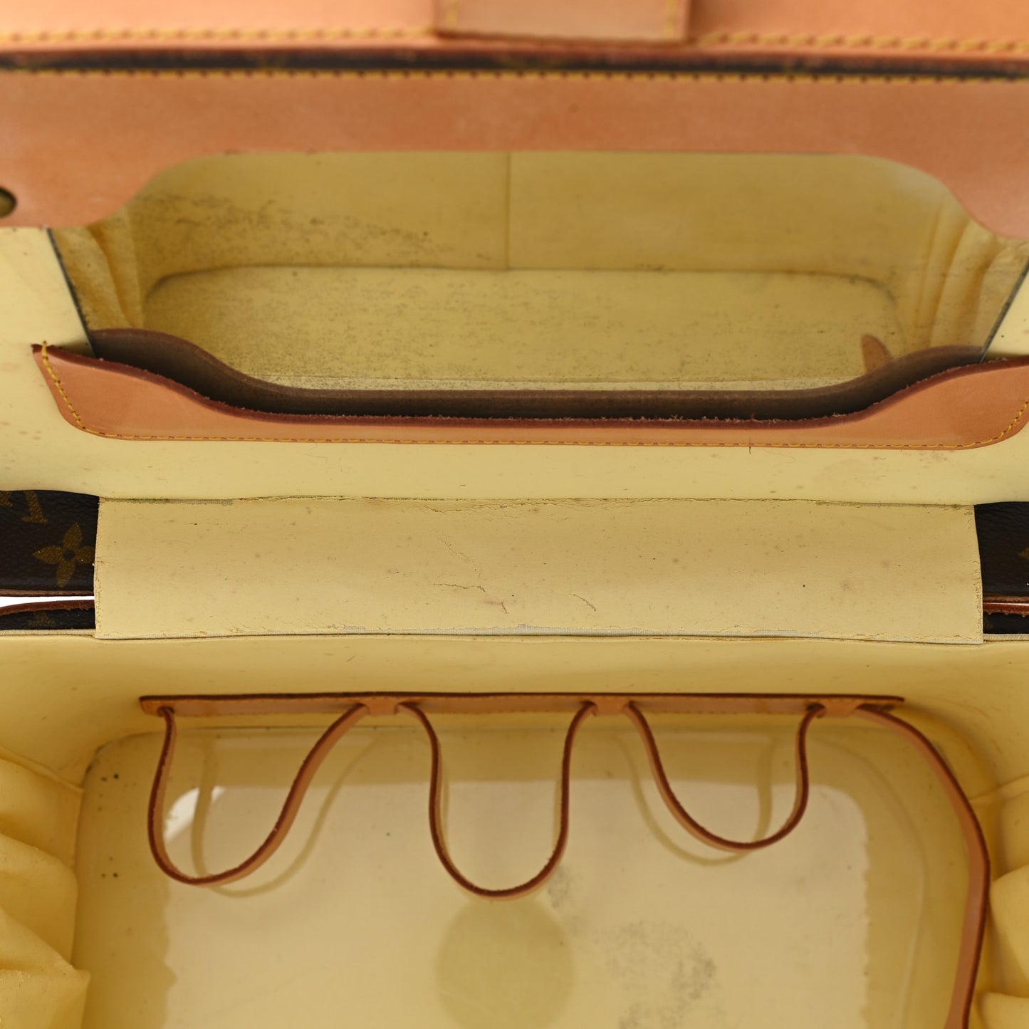 Monogram Train Case