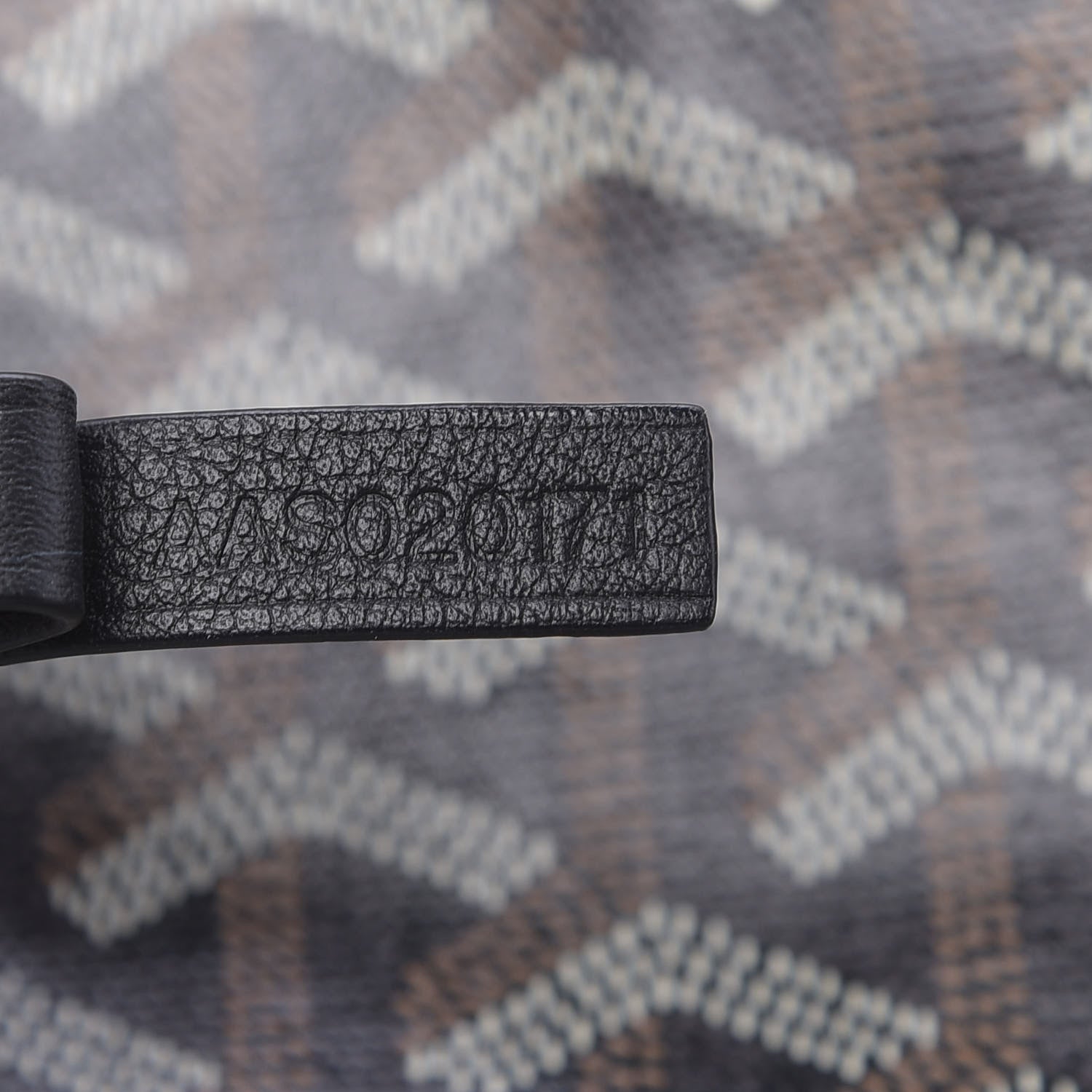 Goyard Goyardine Saint Louis PM Black 7 of 17
