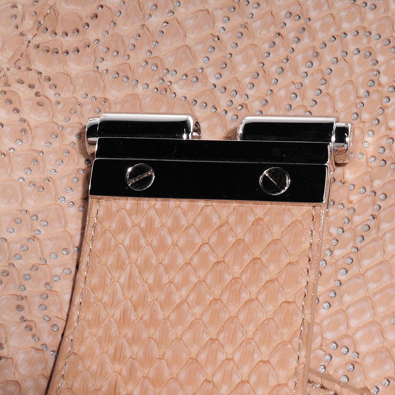 Louis Vuitton Python Perfore Delphes 5 of 8
