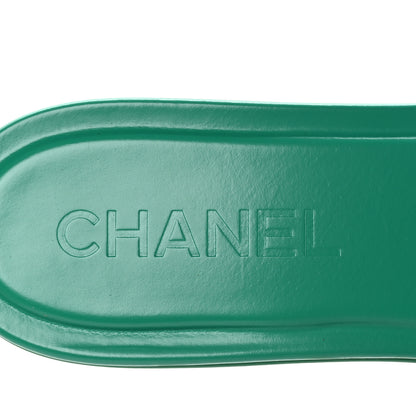 Chanel Calfskin Patent Calfskin Logo Mules 38.5 Green White 8 of 9