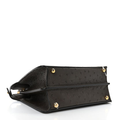 Fendi Ostrich Shiny Nappa Small Peekaboo I SEE U Satchel Dark Brown 3 of 7