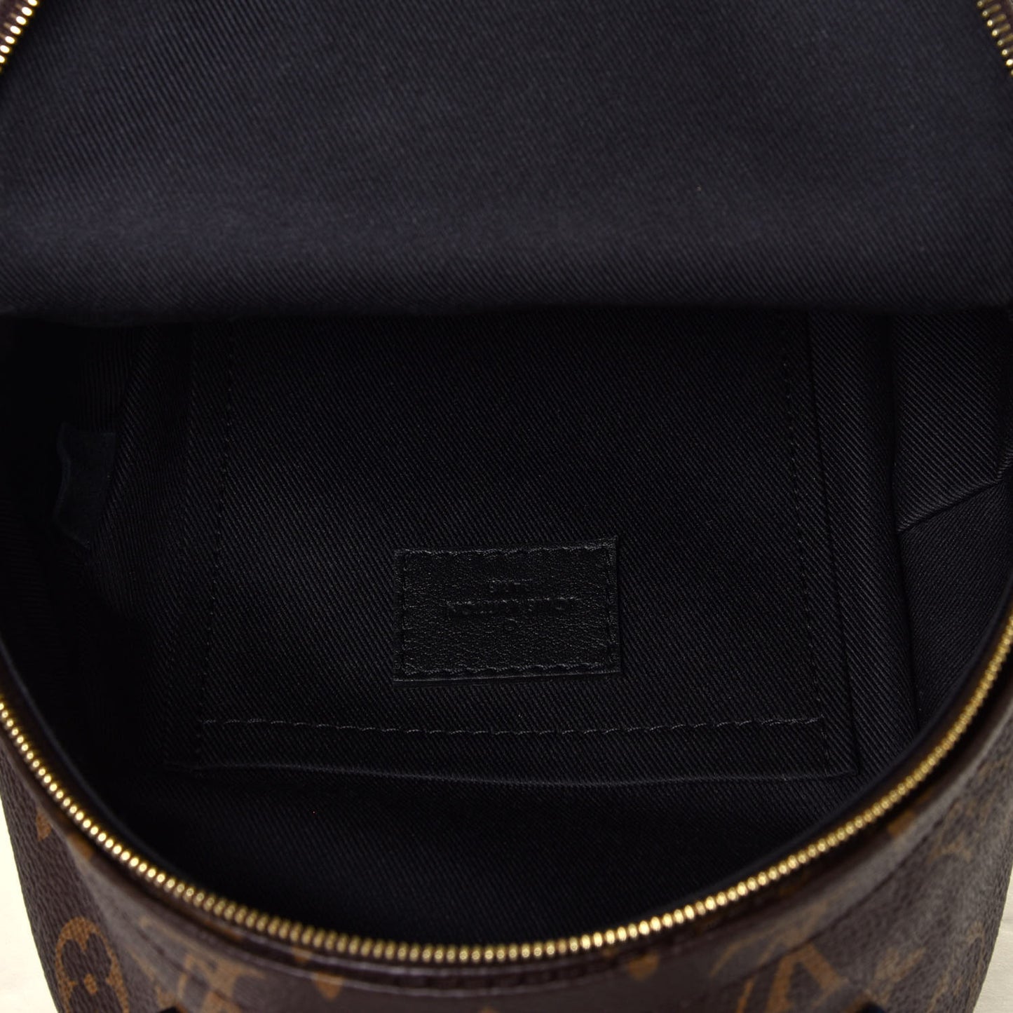 Monogram Palm Springs Backpack Mini