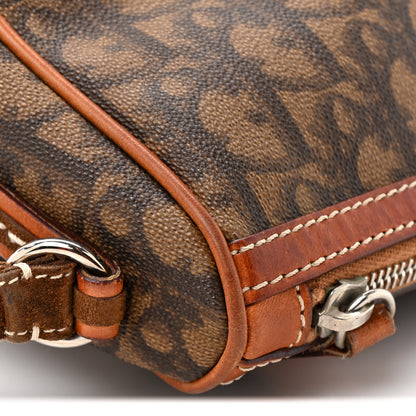 Christian Dior Monogram Romantique Trotter Crossbody Brown 17 of 17