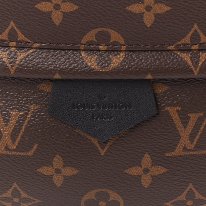 Louis Vuitton Monogram Palm Springs Backpack MM 7 of 8