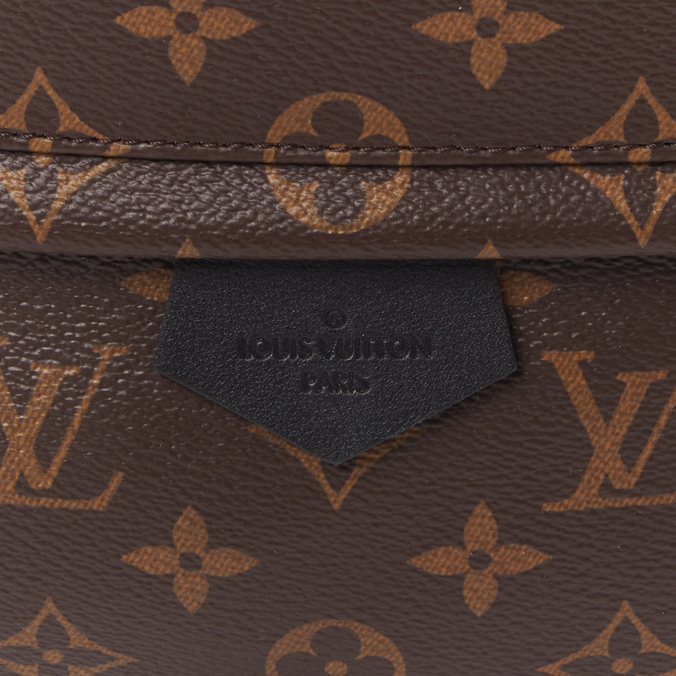 Monogram Palm Springs Backpack MM