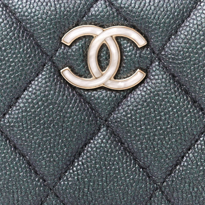 Chanel Iridescent Caviar Quilted Zip Coin Purse Black 8 of 10