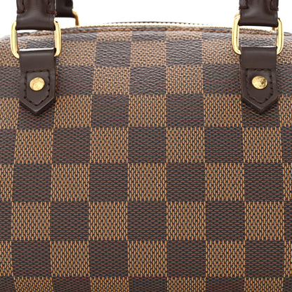 Louis Vuitton Damier Ebene Ribera Mini 8 of 11