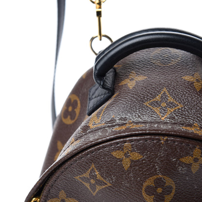 Louis Vuitton Monogram Palm Springs Backpack Mini 7 of 10