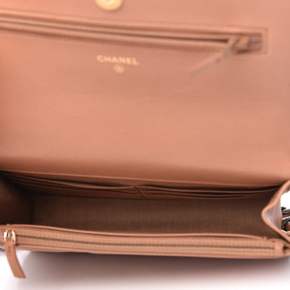 Chanel Lambskin Quilted Chanel 19 Wallet On Chain WOC Brown 5 of 12