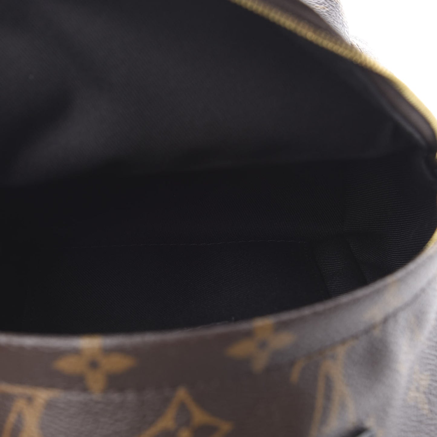 Monogram Palm Springs Backpack Mini